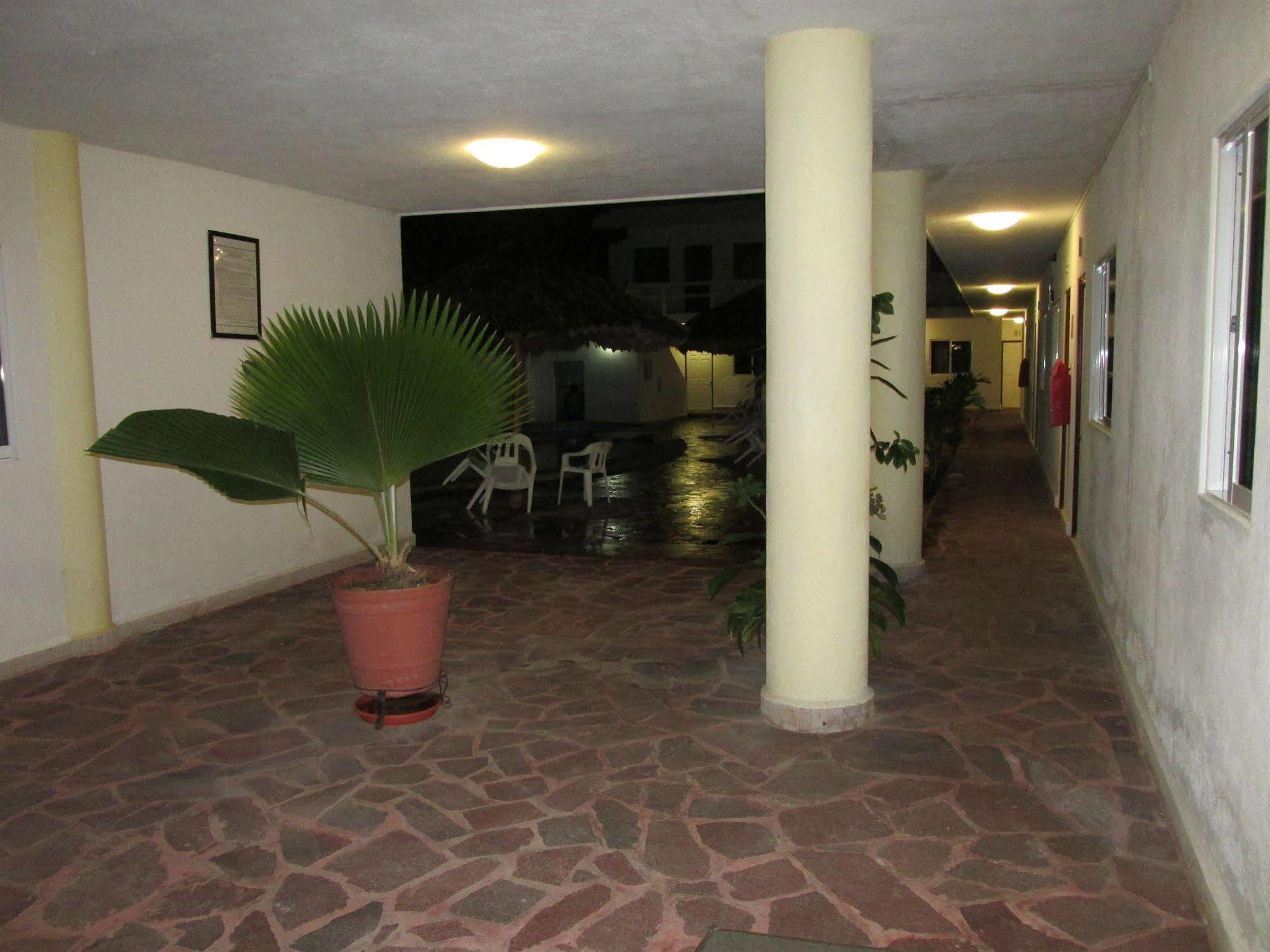 Hotel Albatros Palace مانزانيلو المظهر الخارجي الصورة